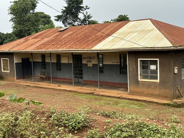 D9800 Networker - Maternal Health Update